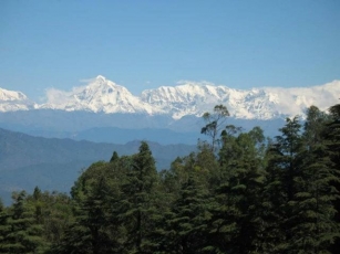 Binsar Tourist Places: 2 Days Itinerary To Make The Most Of Your Visit.