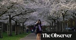 The UK Economy Is A Long Way From Blossoming Despite Glimmers Of Hope | Economics