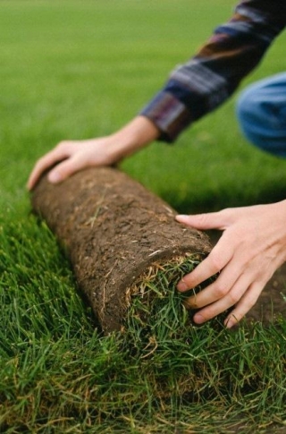 The Green Rewards: Why Caring For Your Lawn Is Worth It