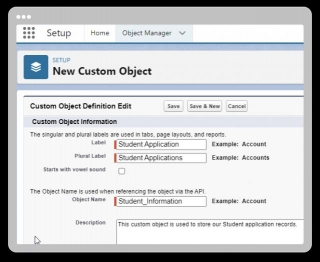 What Are Custom Objects In Salesforce