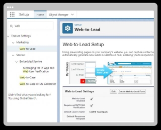 How To Capture Leads In Salesforce