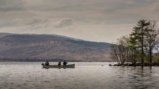 Ultimate Guide To Spring Brown Trout Fishing In Scottish Rivers: Tips, Techniques, And Hotspots