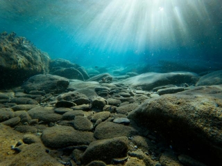 Artificial Underwater Attraction To Open In Almyros