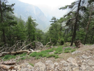 Samaria Gorge Reopens For Tourists