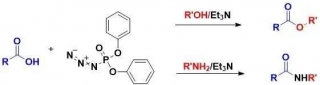 Twenty-nine Methods For Amide Synthesis: Mechanisms, Characteristics, Applications, And Selection