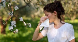Koja Je Veza Između Alergija I Imunološkog Sustava? I Kako Ga Održati U Ravnoteži?