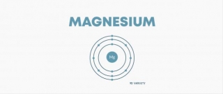 What Does Magnesium Do To Your Body
