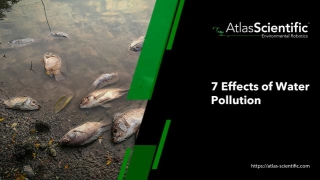 Effects Of Toxic Chemicals On The Environment