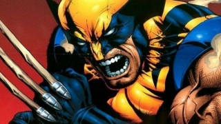 The Wolverine Comics That Prove He’s The Best At What He Does