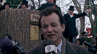 The Greatest Bill Murray Movies Of All Time