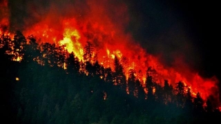 22 Of The Most Memorable Wildfires In U.S. History