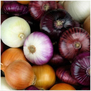 What Changes Occur In Your Body When You Stop Eating Onions For 30 Days ?