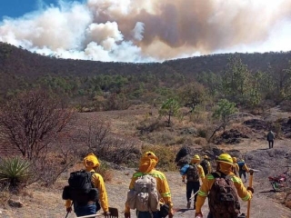 Cinco Comuneros Pierden La Vida Al Intentar Sofocar Incendio Forestal