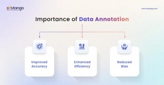 What Is Data Annotation And Why Does Your Business Need It?