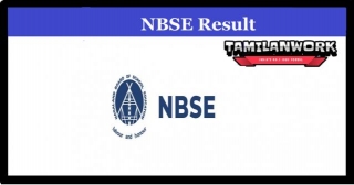 NBSE 10th Result 2024 Check Www.nbsenl.edu.in