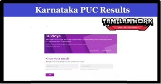Karnataka 1st PUC Result 2024 [Out Today] Result.dkpucpa.com