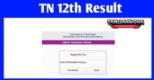 TN 12th Result 2024, Tnresults.nic.in 12th Result 2024 Date