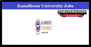 Kamdhenu University Recruitment 2024 Apply 119 Assistant Professor Posts