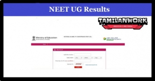 NEET UG Result 2024 Declared At Neet.nta.nic.in 