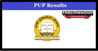 Punjabi University Chandigarh ADLAN 1st Sem Result 2024 Check Puchd.ac.in