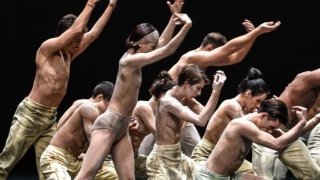Sao Paulo Dance Company | Anthem, Gnawa And Agora In Plymouth