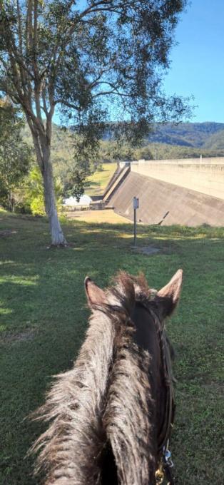 Horse Riding on the Atherton Tablelands