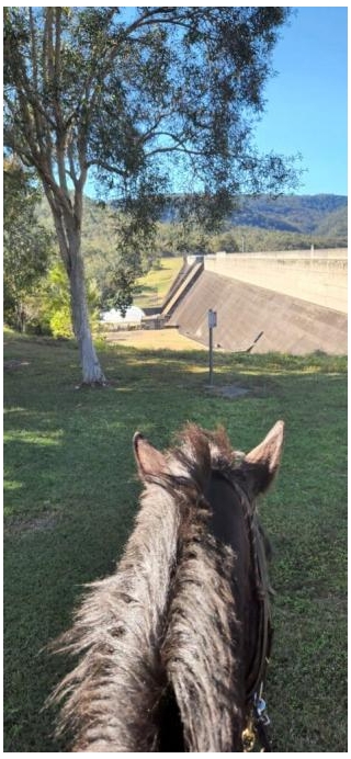 Horse Riding On The Atherton Tablelands