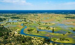 Botswana’s Inspirational Women Safari Guides Who Are Navigating Change