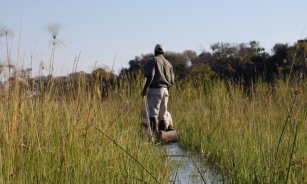 7 Reasons You Should Choose Botswana For Your Safari