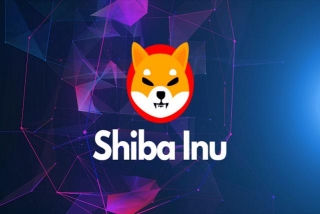 Market Experts Predict New Shiba Inu Competitor To Profit More Than SHIB