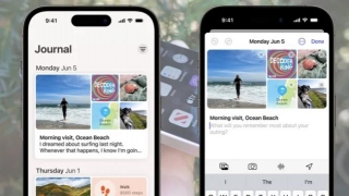 Palmsy, A Journaling App, Allows Users To Purchase Phony Buddy Likes
