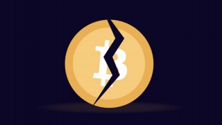 What Is Halving In Crypto? 5 Simple Things You Need To Know About Bitcoin Halving.