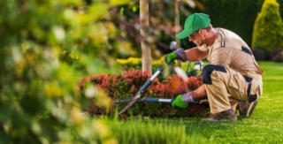 Find A Landscape Lighting Contractor Near Me In Sunnyvale