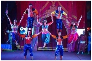 Circus Acts And Performances