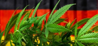Germany Passes Adult-Use Cannabis Legalization