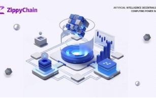 From conception to implementation: The journey of the founding team of the ZippyChain project