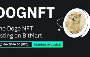 The Doge NFT (DOGNFT), Listed on BitMart Exchange
