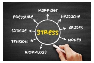 Stress Vs Anxiety: Understanding The Key Differences