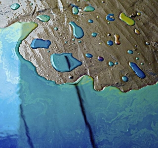 World Water Day: What Have Aircraft Carpets To Do With Preserving Water Resources?