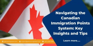Navigating The Canadian Immigration Points System: Key Insights And Tips
