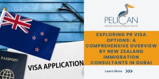 Exploring PR Visa Options: A Comprehensive Overview By New Zealand Immigration Consultants In Dubai