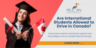 Are International Students Allowed To Drive In Canada?