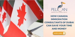 How Canada Immigration Consultants Of Dubai Can Save Your Time And Money