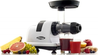 Unleash The Power Of Omega J8006HDS Juicer: A Comprehensive Review