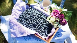 Berry-licious Benefits: 11 Blueberry Juice Health Benefits You Should Know!
