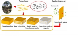 Renewable Cellulosic Nanocomposite: A Miracle In The Food Packaging