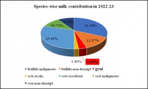 Contribution Of Goats In India’s Dairy Industry
