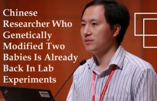 Chinese Researcher Who Genetically Modified Two Babies Is Already Back In Lab Experiments
