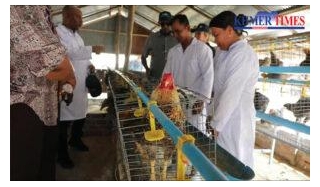 VIDEO: Empowering Cambodian Farmers Through Improved Poultry Breeds