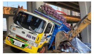 Tight Spot: Garlic Truck Gets Stuck Under Bridge